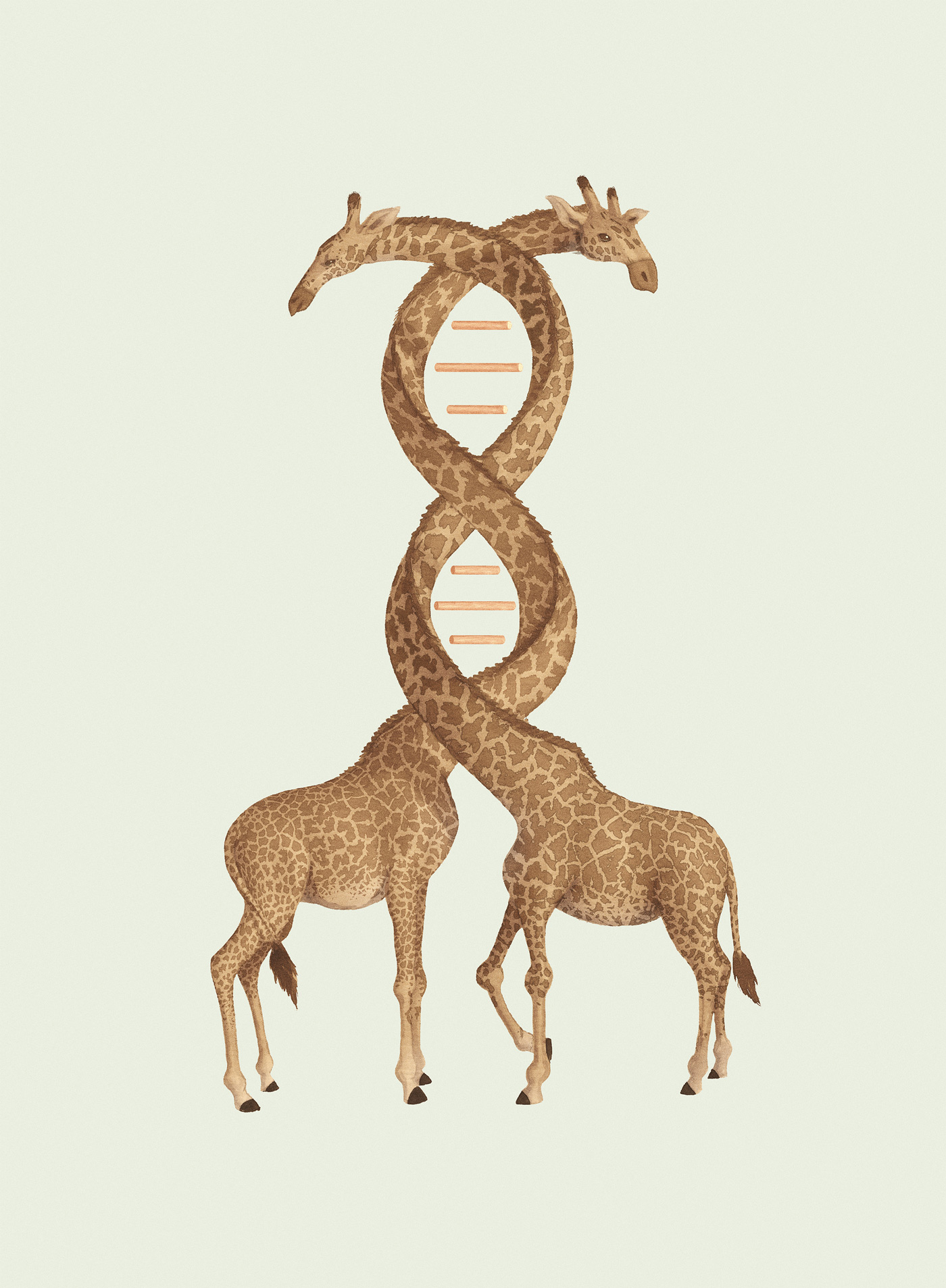 DNA-Vishnu-M-Nair-Current-Conservation