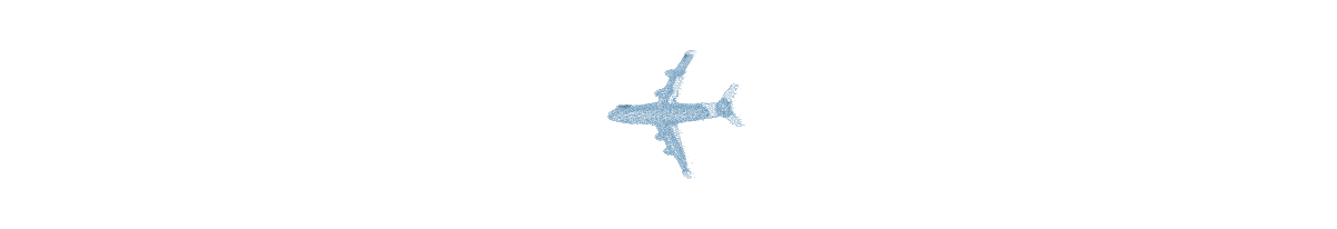 Fools-Gold-Plane-Vishnu-M-Nair-1