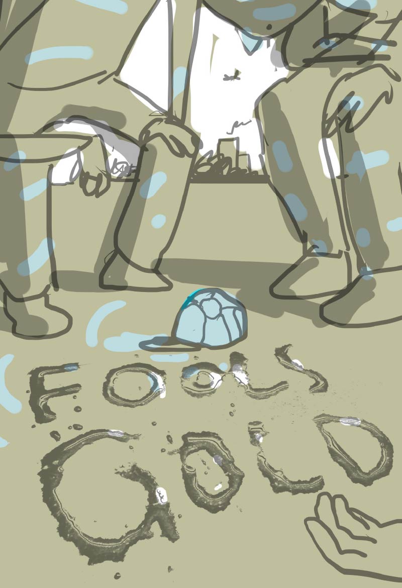 Fools-Gold-Vishnu-M-Nair-2